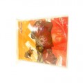 Perforated CD Tray Cards